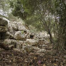  MTB Tour Crete Image 00327-malia_singletrack_mtb_crete_21.jpg 