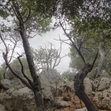  MTB Tour Crete Image 0503a-malia_singletrack_mtb_crete_29.jpg 