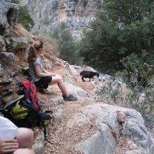 Φαράγγι της Ρόζας MTB Tour Crete Image 0afb6-13975341_215481102186942_7235814065706297085_o.jpg 