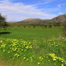  MTB Tour Crete Image 17c29-mochos_avdou_malia_mtb_tours_crete_2.jpg 