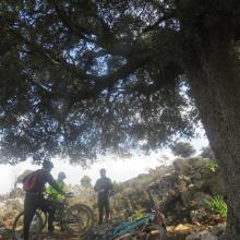  MTB Tour Crete Image 2038e-selena_singletrack_mtb_crete_12.jpg 