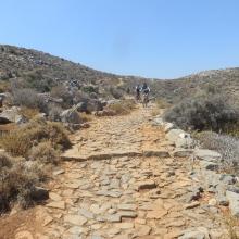 Mohos Singletrack MTB Tour Crete Image 25c2f-mohos_singletrack_mtb_crete_12.jpg 