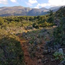  MTB Tour Crete Image 282f2-16425953_603232103200950_4985138472415850347_n.jpg 