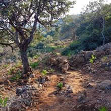  MTB Tour Crete Image 2ba87-16508291_603232669867560_1063137874827212295_n.jpg 