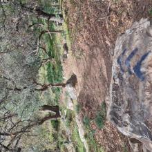 Nemotrail  MTB Tour Crete Image 3e697-20250327_160050.jpg 