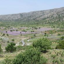  MTB Tour Crete Image 4c748-katharo_plateau_valley.jpg 