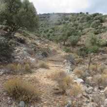 Mohos Singletrack MTB Tour Crete Image 61317-mohos_singletrack_mtb_crete_33.jpg 