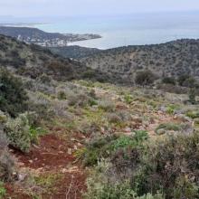 Enduro Greek Series NAIL THE TRAIL MTB Tour Crete Image 62b5c-20210324_150738.jpg 