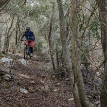  MTB Tour Crete Image 6a681-malia_singletrack_mtb_crete_14.jpg 