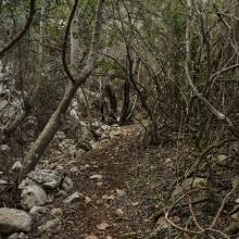  MTB Tour Crete Image 74afb-malia_singletrack_mtb_crete_10.jpg 