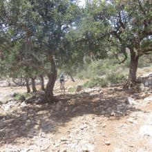 Mohos Singletrack MTB Tour Crete Image 76868-mohos_singletrack_mtb_crete_18.jpg 