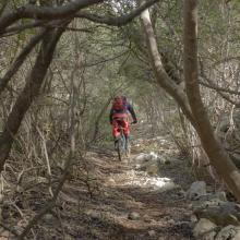  MTB Tour Crete Image 78bc7-malia_singletrack_mtb_crete_37.jpg 