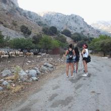 Φαράγγι της Ρόζας MTB Tour Crete Image 9ddd6-13710602_208180609583658_5648228347533950743_o.jpg 