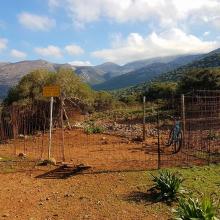  MTB Tour Crete Image 9e50d-16388375_603232053200955_4014102360404589247_n.jpg 