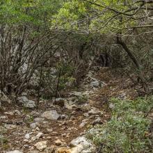  MTB Tour Crete Image af9a8-malia_singletrack_mtb_crete_12.jpg 