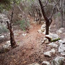  MTB Tour Crete Image b598d-16265835_600057200185107_2059328903425618492_n.jpg 