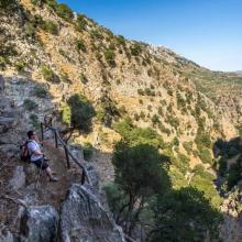 Φαράγγι της Ρόζας MTB Tour Crete Image c05b8-13603437_195565214178531_4804463464737258526_o.jpg 