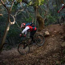  MTB Tour Crete Image c1c23-DSC_0398.jpg 