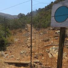 Mohos Singletrack MTB Tour Crete Image c4426-mohos_singletrack_mtb_crete_31.jpg 