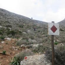  MTB Tour Crete Image ce110-selena_singletrack_mtb_crete_9.jpg 