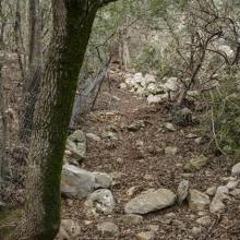  MTB Tour Crete Image e2c69-malia_singletrack_mtb_crete_11.jpg 