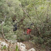  MTB Tour Crete Image e7138-malia_singletrack_mtb_crete_34.jpg 