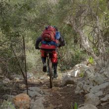  MTB Tour Crete Image ef108-malia_singletrack_mtb_crete_1.jpg 